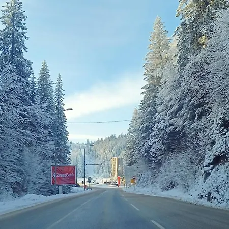 Hrast Sestosjed Trnovo Jahorina